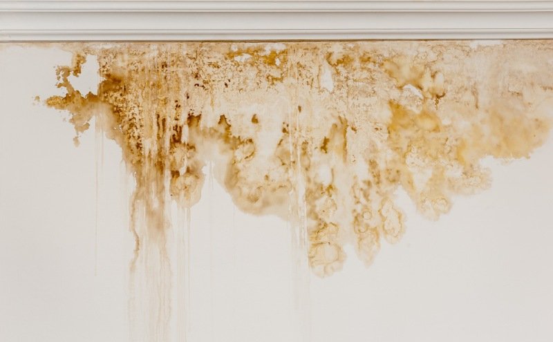 How to Remove Stains From Walls